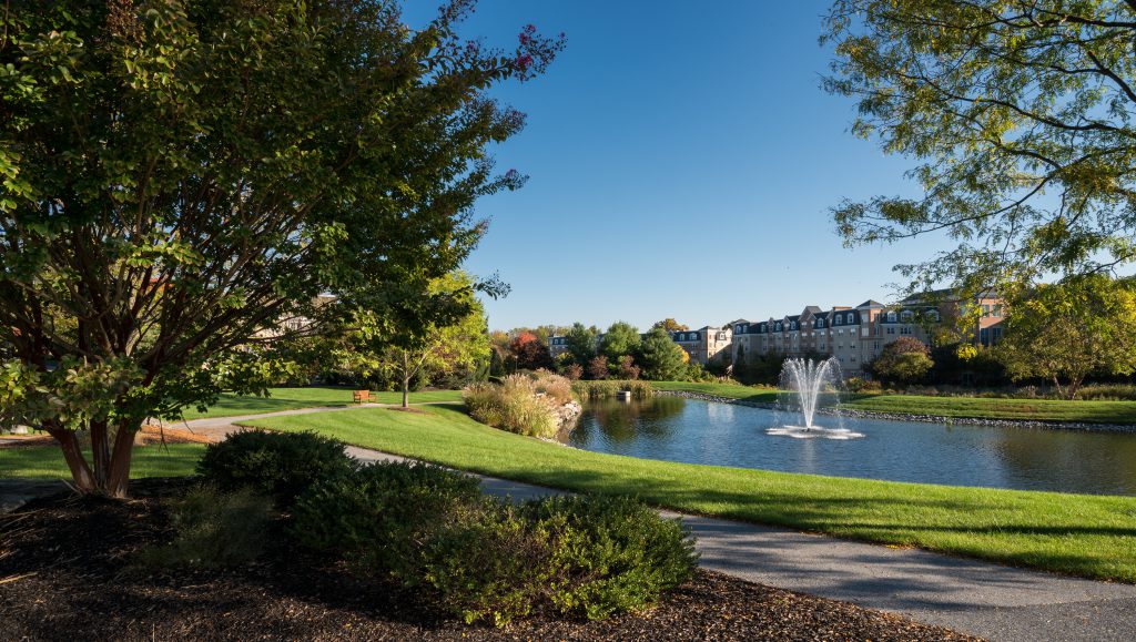 Welcome Center Pond