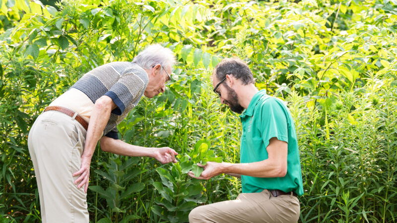 Campus Landscape Sustainability Planning Project