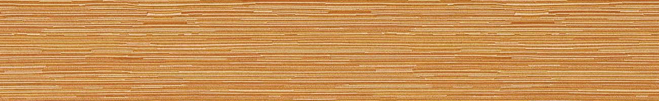 thinorangetextureheader thinorangetextureheader