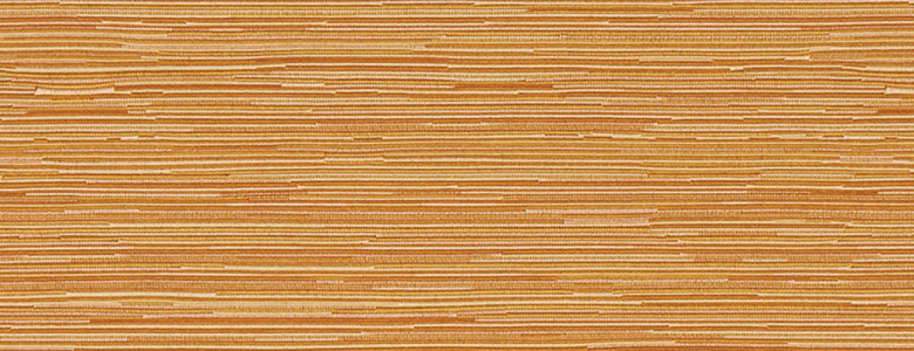 thinorangetextureheader thinorangetextureheader