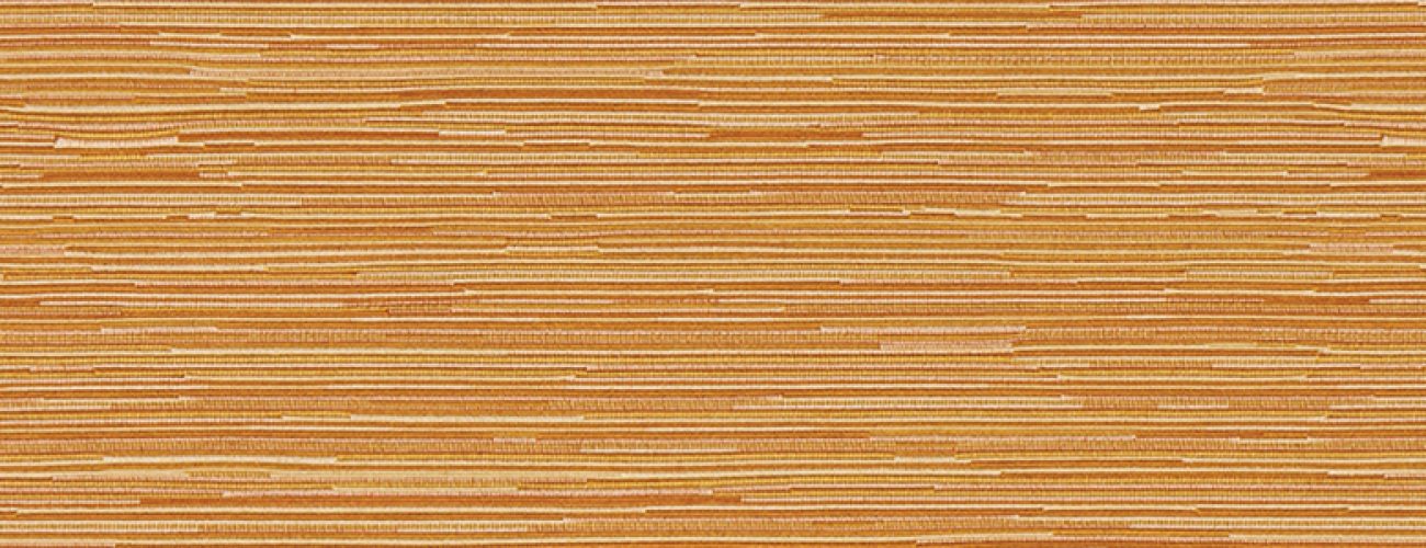 thinorangetextureheader thinorangetextureheader